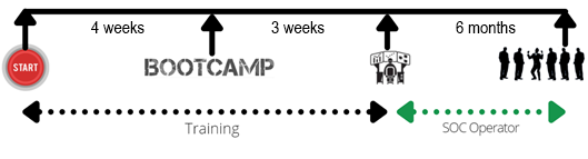 Training timeline